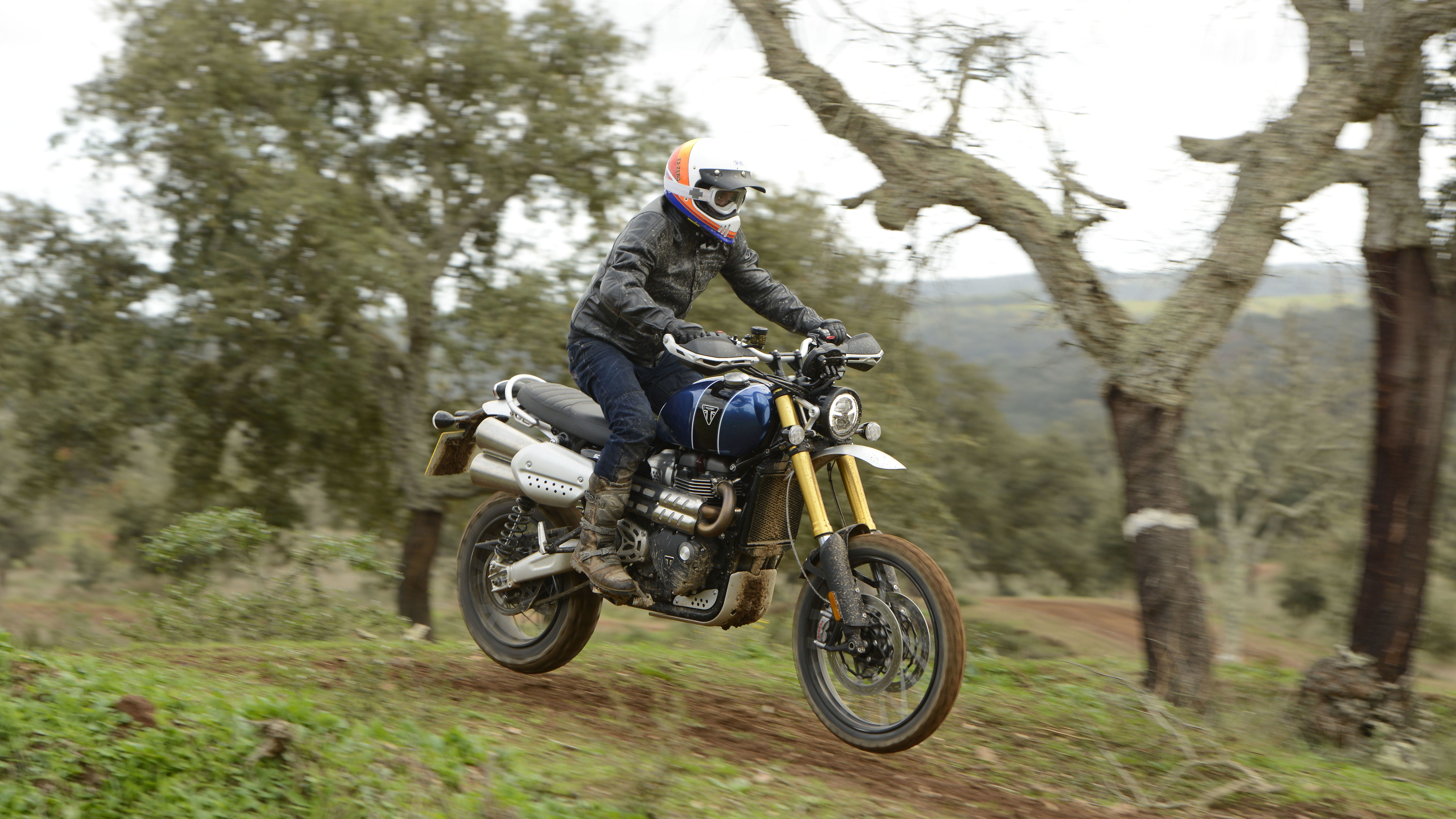 Triumph Scrambler 1200 (2019)