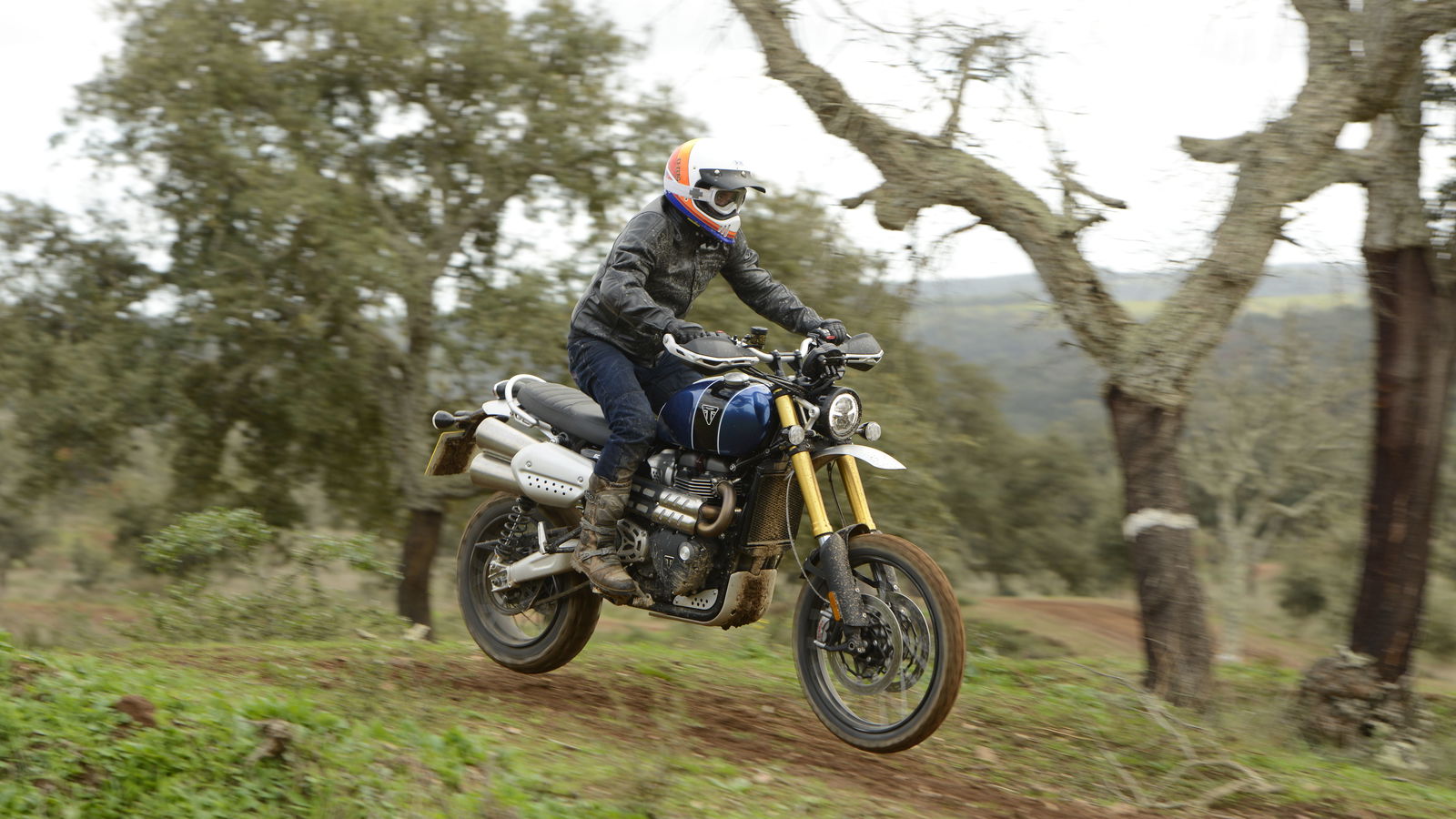 Triumph Scrambler 1200 (2019)