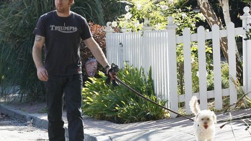 McGregor: The Long Way Hound?