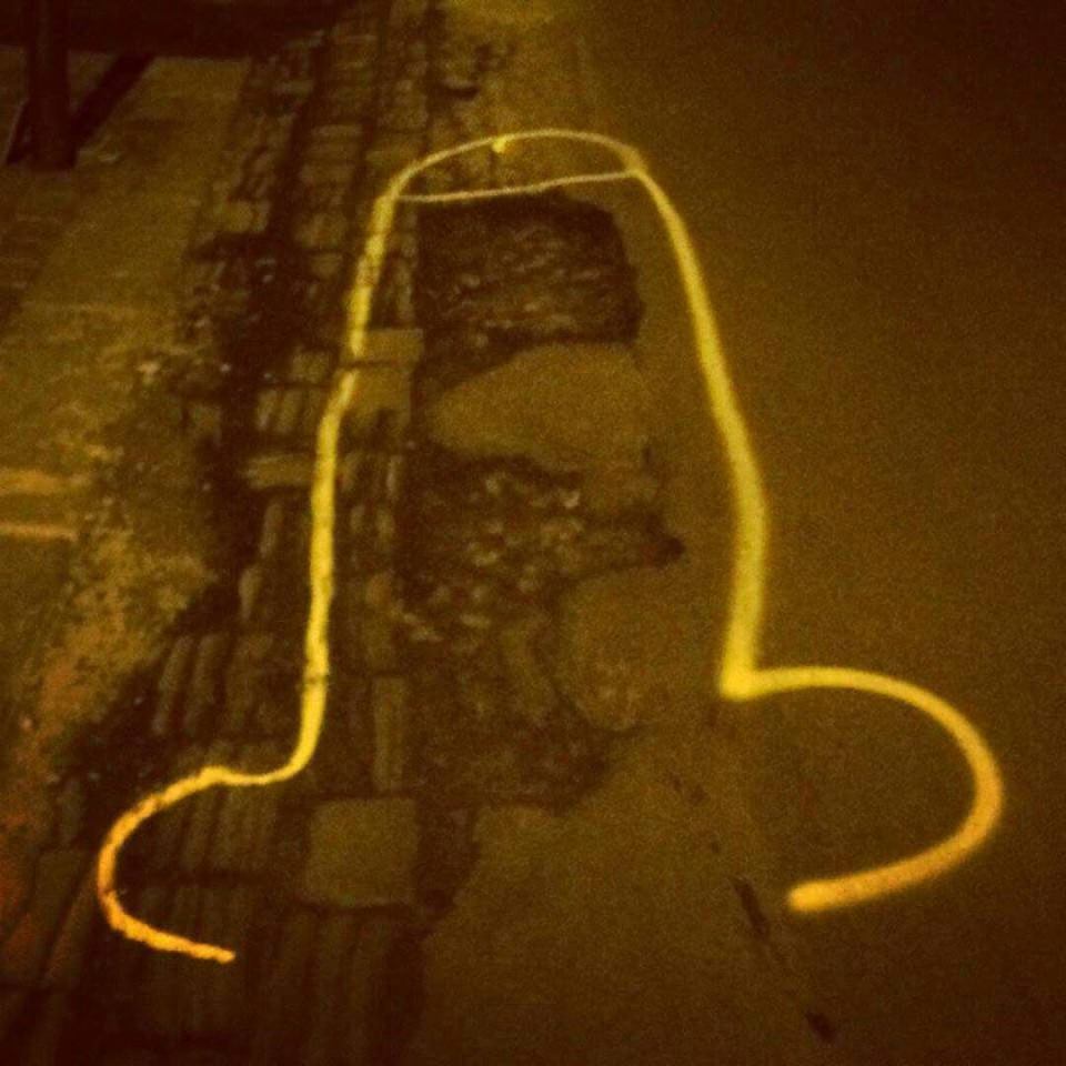 Campaigner highlights potholes by drawing penises around them