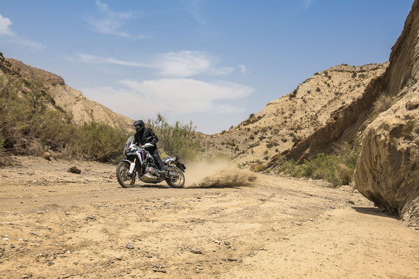 Honda Africa Twin: super gallery and full specs