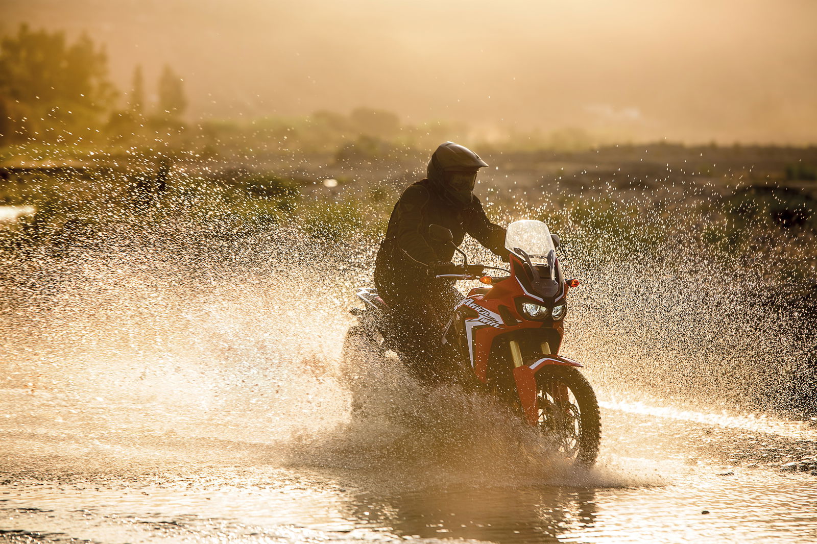 Honda Africa Twin: super gallery and full specs
