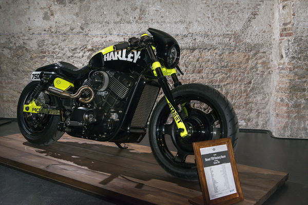 Harley’s Street 750 scrambler custom