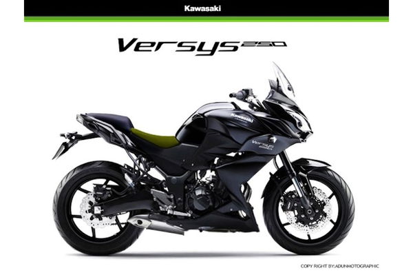 How Kawasaki's Versys 250 might look