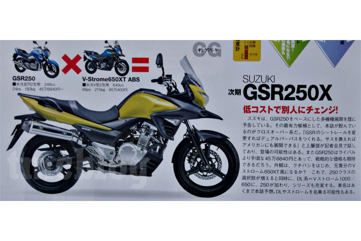 Is this what the Suzuki V-Strom 250 might look like?