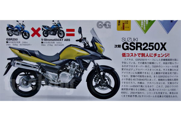 Is this what the Suzuki V-Strom 250 might look like?