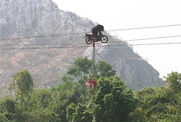 High-wire motorcycle bear act causes outrage