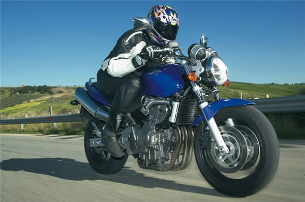 Buyer Guide: Honda Hornet 600