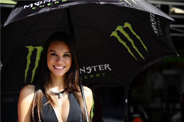 Picture Gallery of Catalunya MotoGP Girls