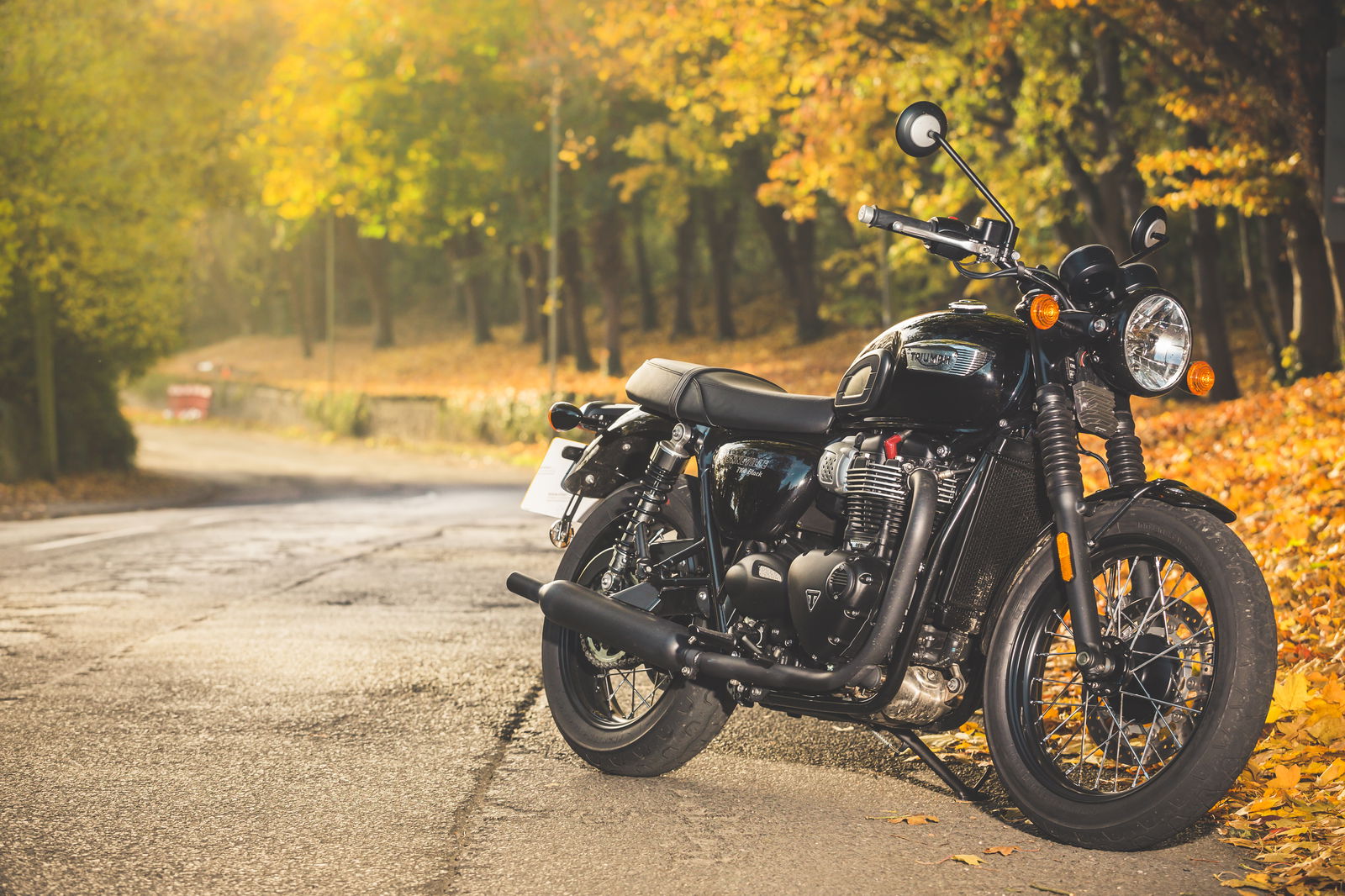 Triumph Bonneville T100 super gallery