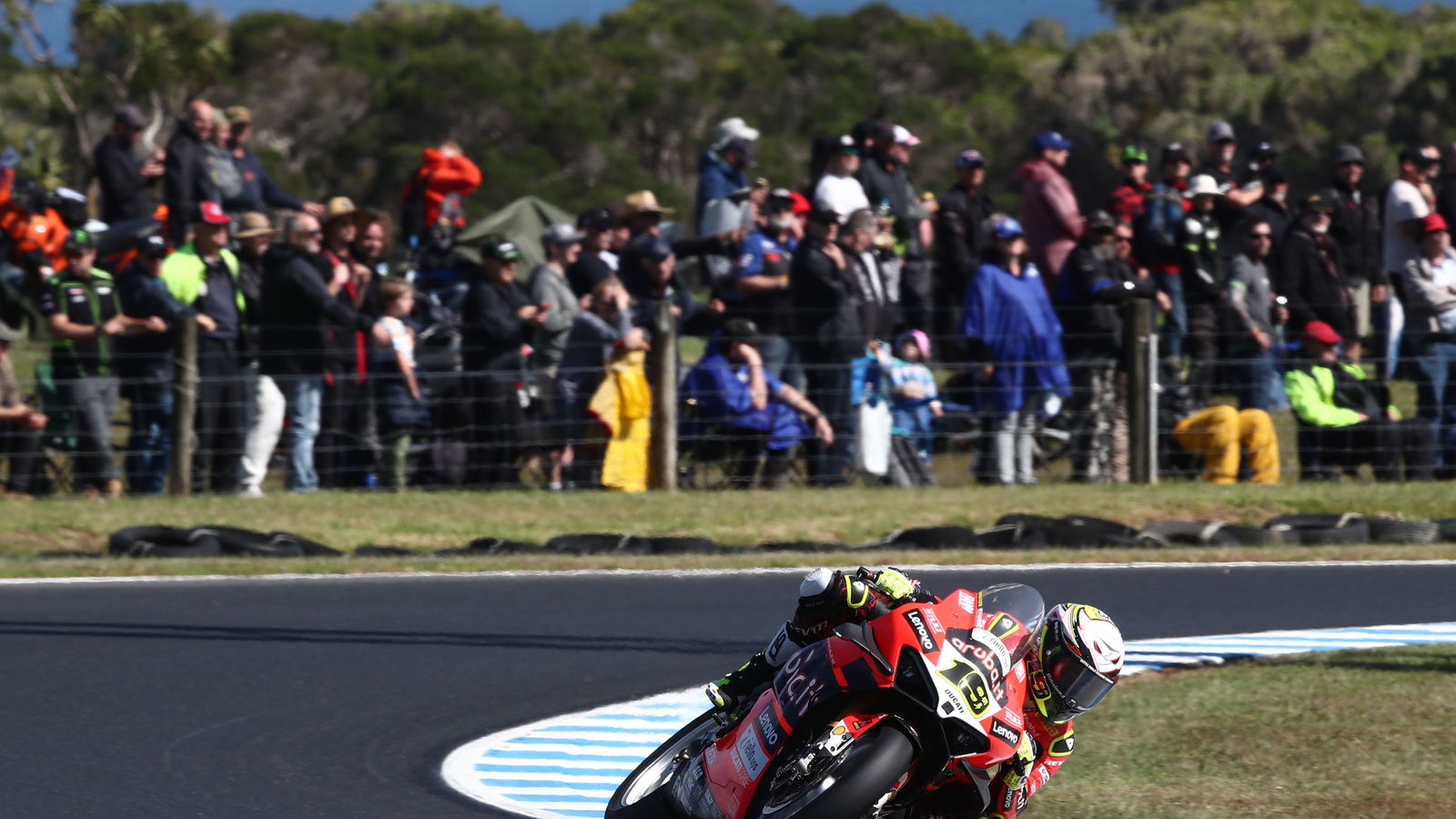 Alvaro Bautista, 2022 Australian WorldSBK. - Gold and Goose