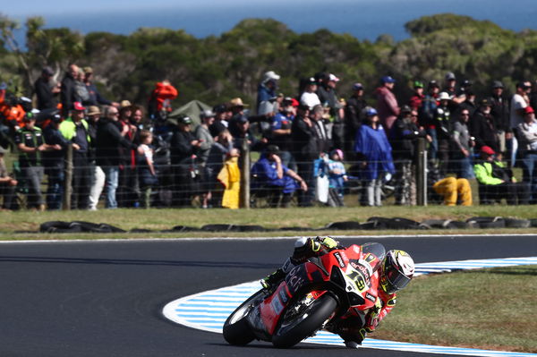 Alvaro Bautista, 2022 Australian WorldSBK. - Gold and Goose