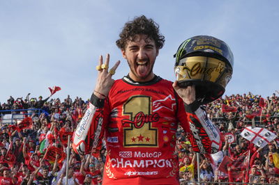 Francesco Bagnaia, 2023 MotoGP Valencia Grand Prix. - Gold and Goose