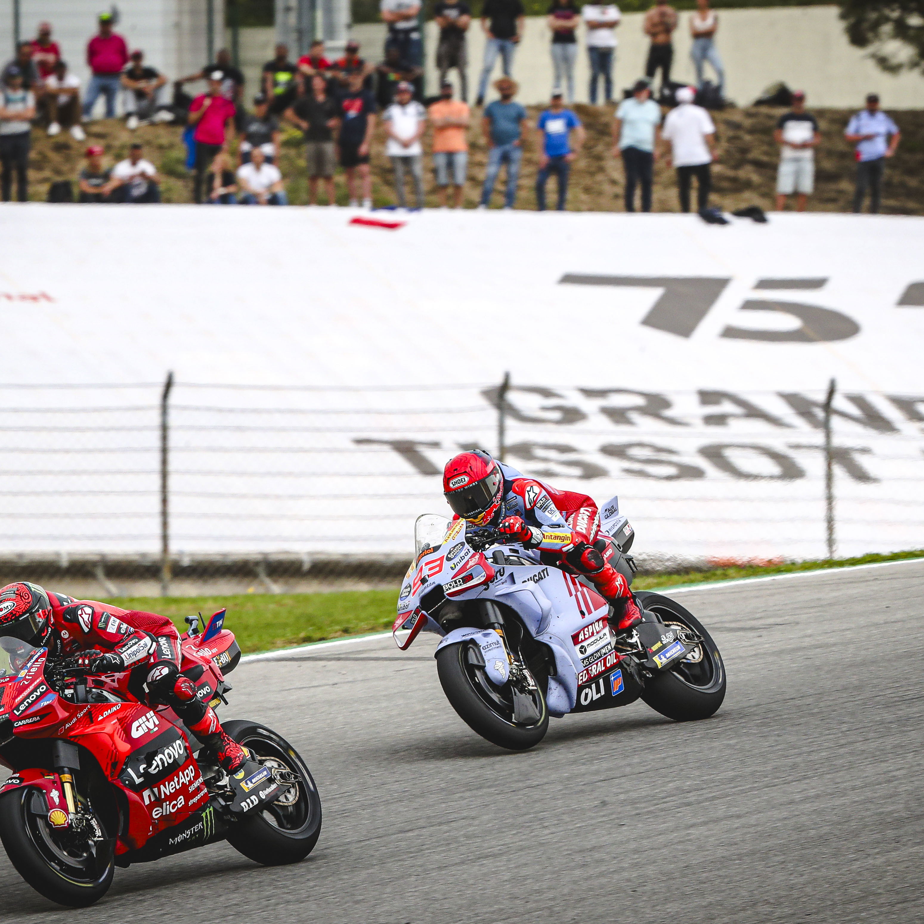 Francesco Bagnaia, Marc Marquez, 2024 MotoGP Portuguese Grand Prix. - Gold and Goose