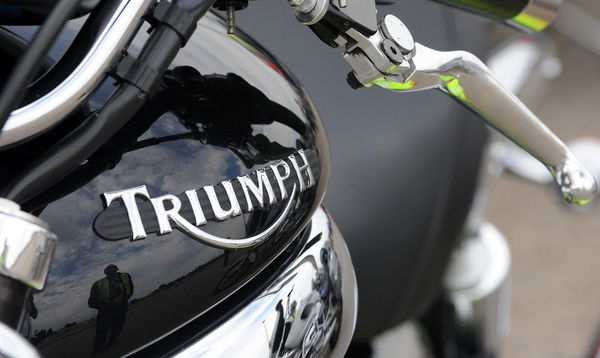 Triumph logo