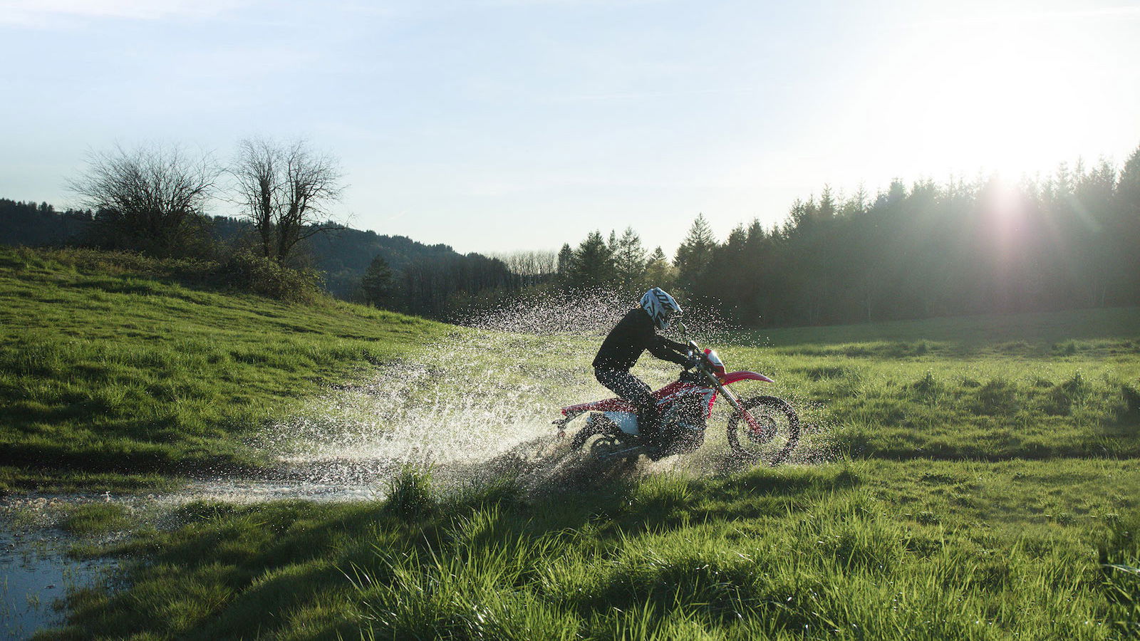 2019 Honda CRF450L