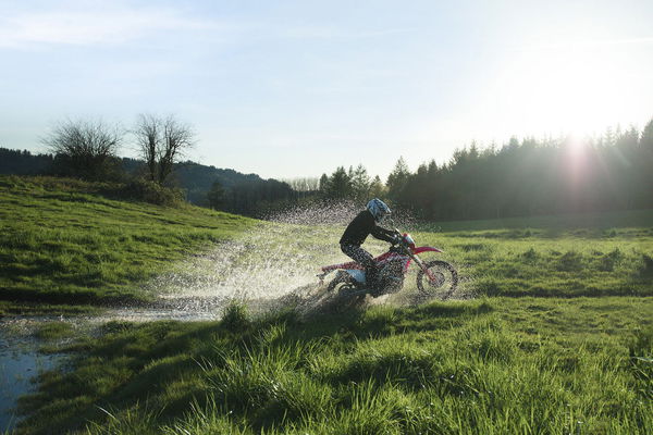 2019 Honda CRF450L