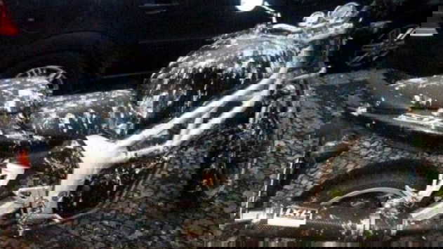 What the world needed: research into bird poo