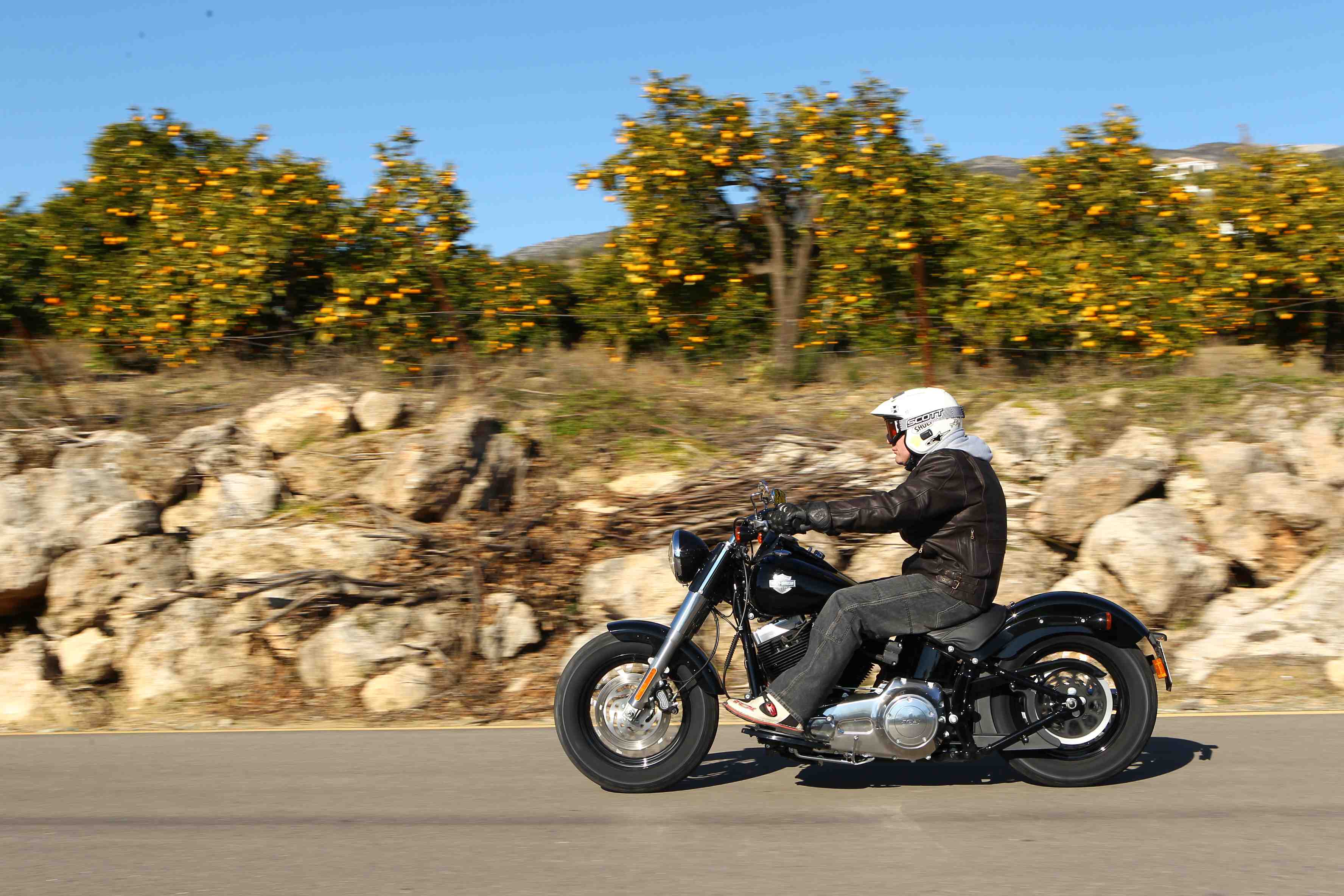 First Ride Harley Davidson Softail Slim Visordown