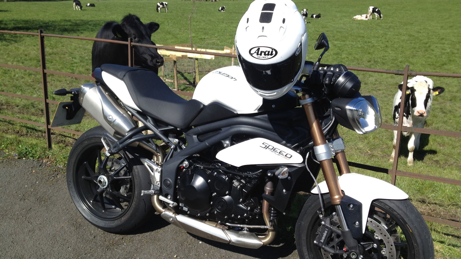 First Ride: 2012 Triumph Speed Triple review