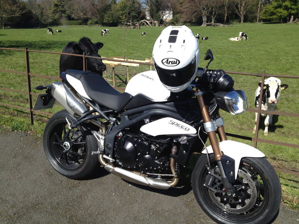 First Ride: 2012 Triumph Speed Triple review