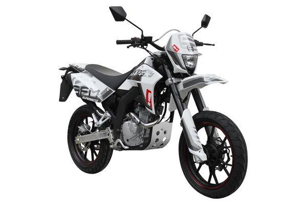 VTR250F launched in Japan