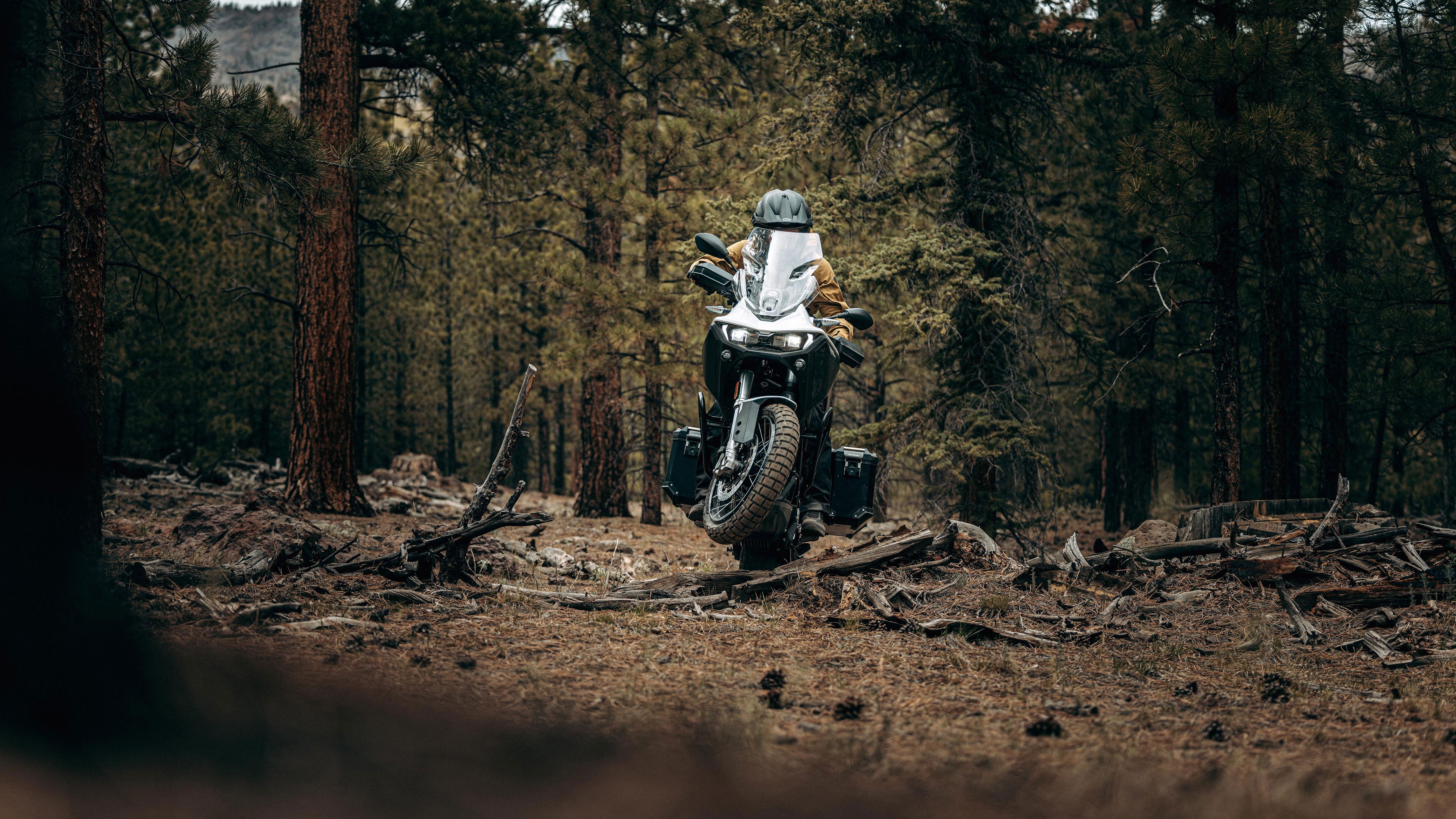 Zero DSR/X parked in woods