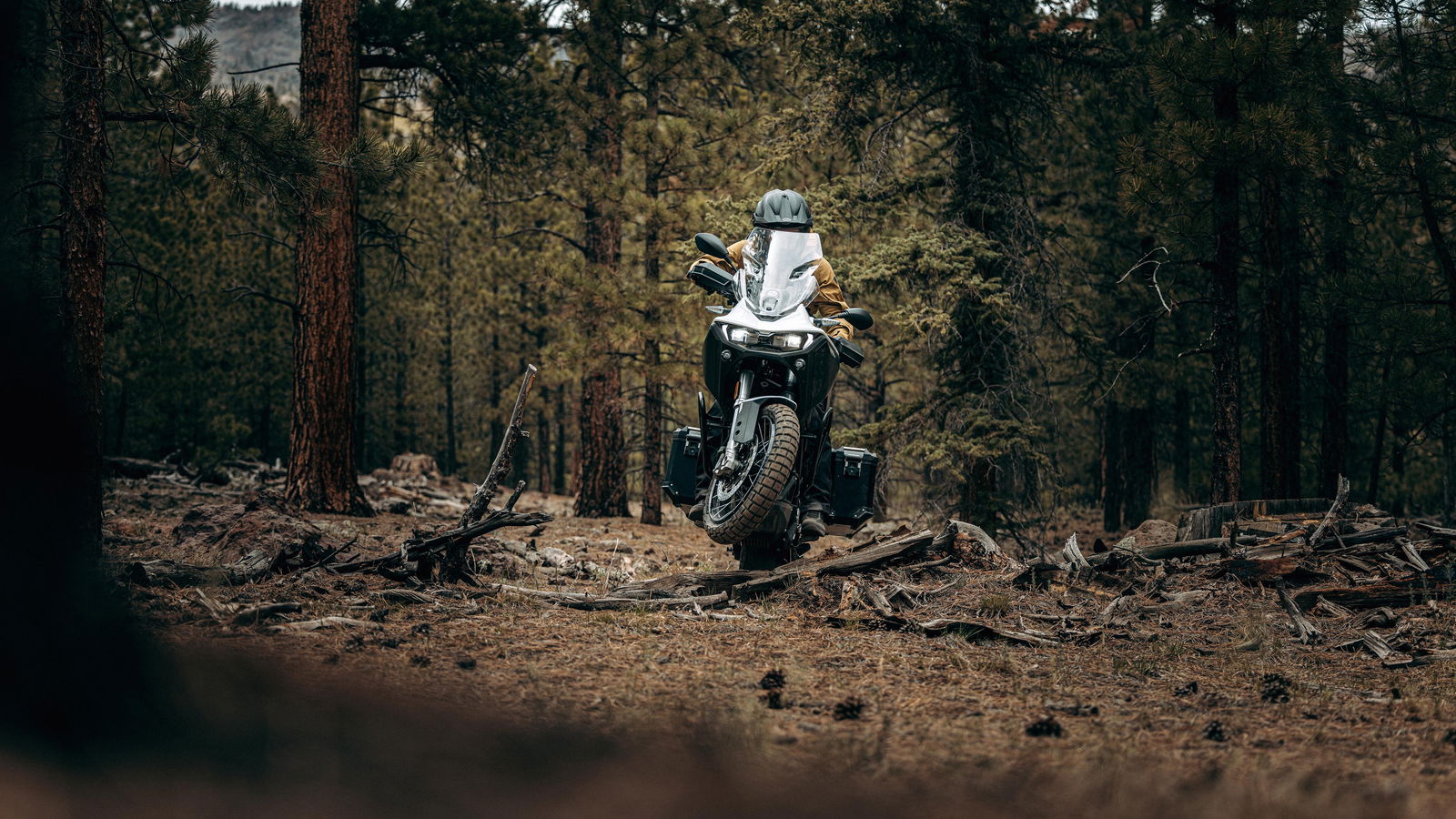 Zero DSR/X parked in woods