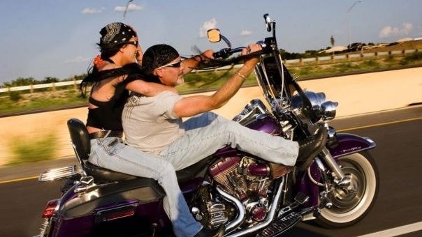 Robbie Knievel arrested for drink-driving