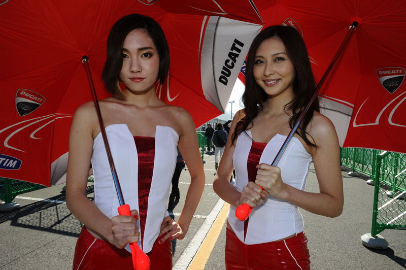 MotoGP Phillip Island Paddock Girls 2013