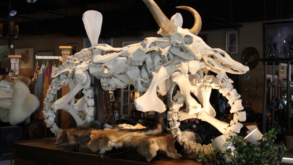Man makes a ‘Cowasaki’ motorcycle out of bones