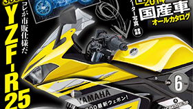 Best image of Yamaha's R25 so far