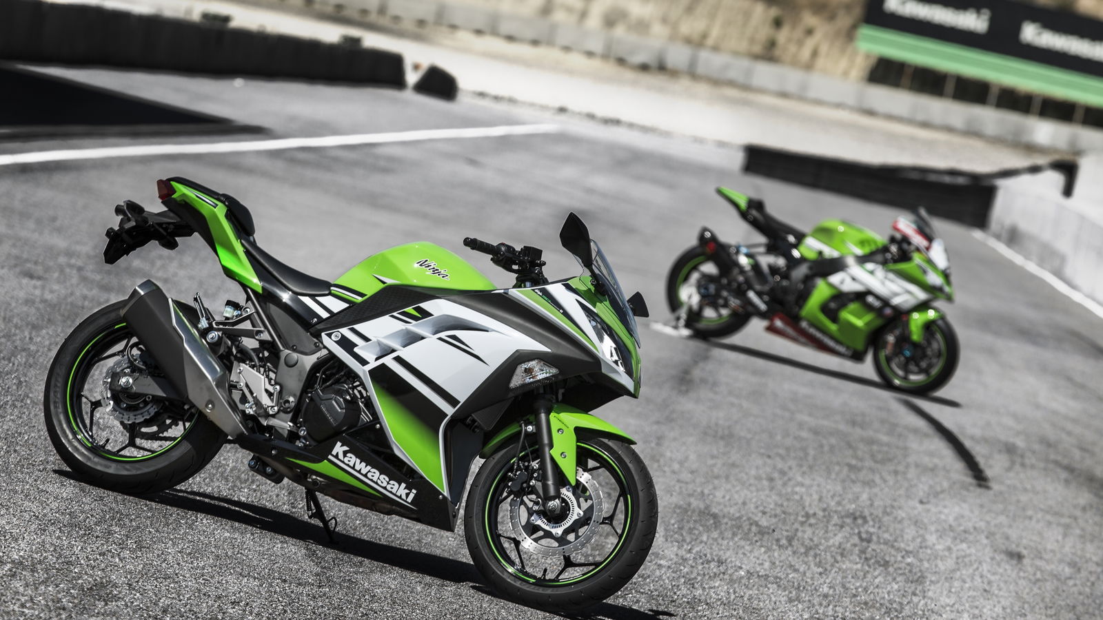 Revealed: Special edition 30th anniversary Ninja 300