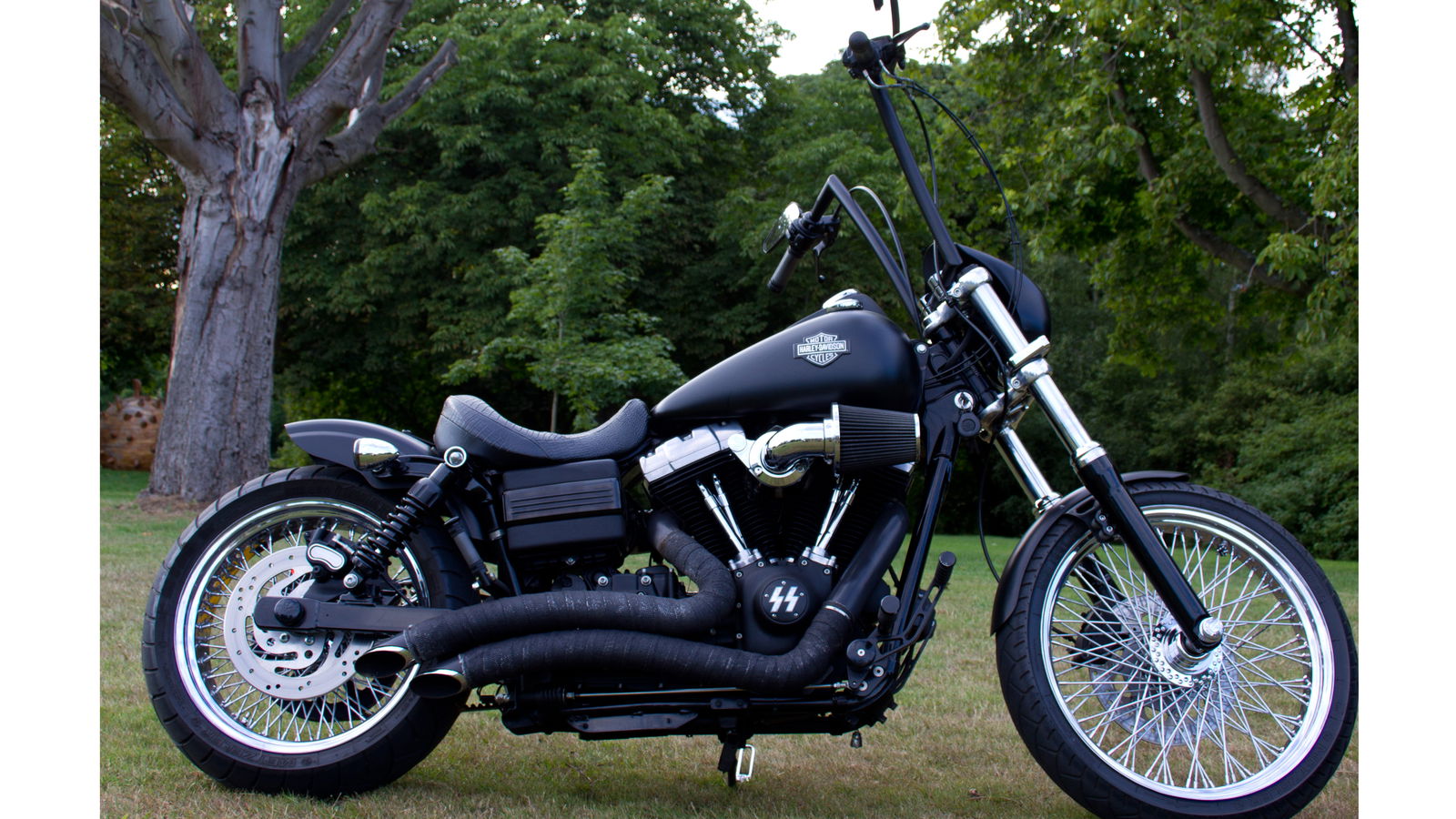 Tested: Progressive Suspension