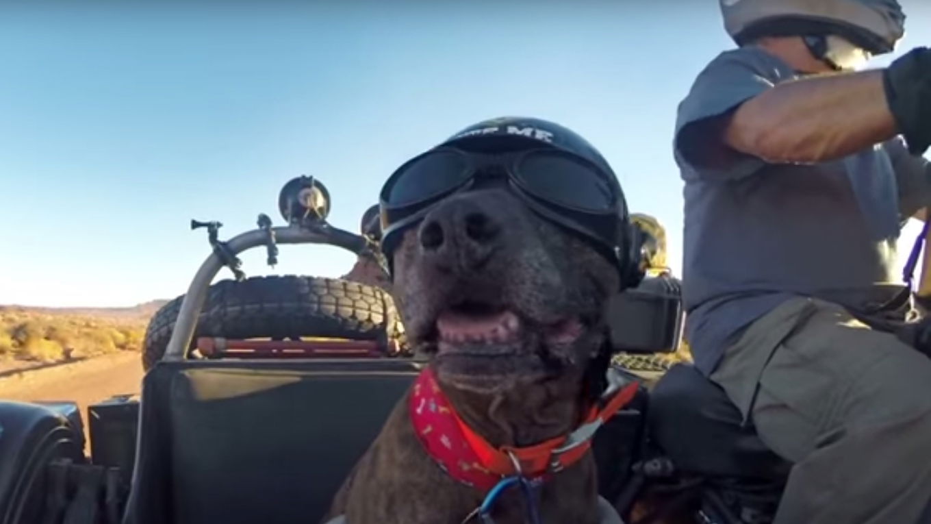 Video: Heart-breaking bike adventure story
