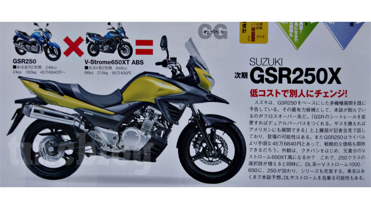 Is this what the Suzuki V-Strom 250 might look like?