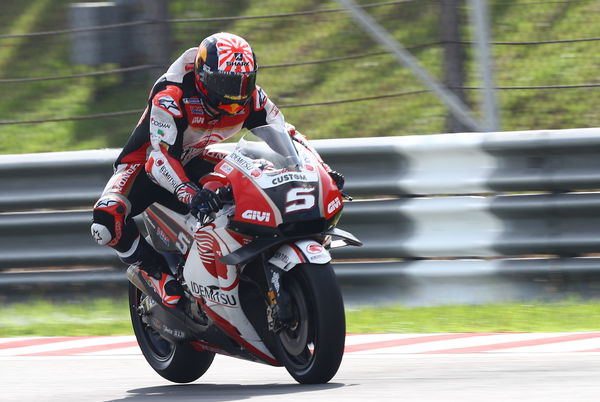 Johann Zarco, 2019 MotoGP Malaysian Grand Prix. - Gold and Goose