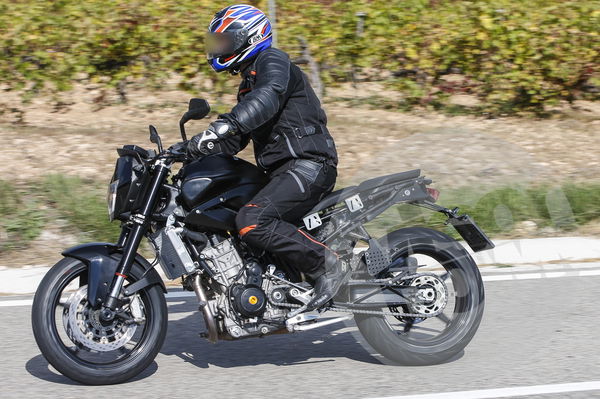 KTM Duke 890 spied