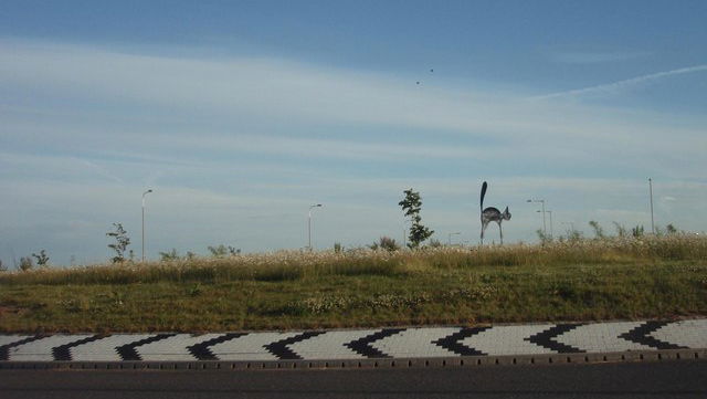 Black_Cat_Roundabout