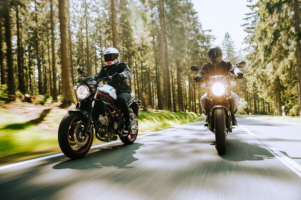 Two Suzuki SV650s riding through woodland