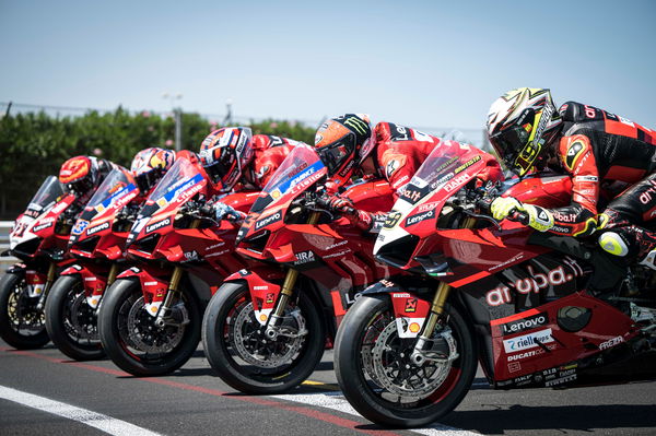 Ducati Race of Champions Panigale V4 S bikes lined up.