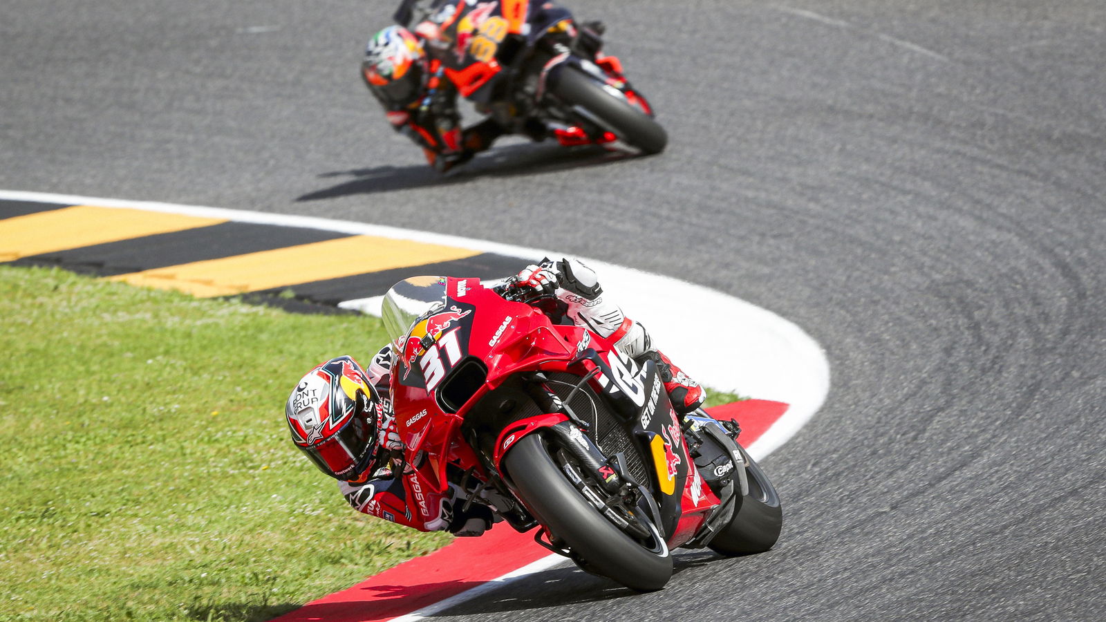 Pedro Acosta, 2024 MotoGP Italian Grand Prix. - Gold and Goose