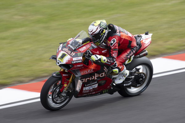 Alvaro Bautista, 2024 UK WorldSBK. - Gold and Goose