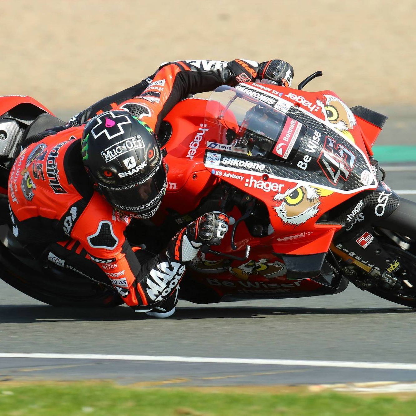Scott Redding - Be Wiser Ducati, 2019 BSB [credit: Ian Hopgood]