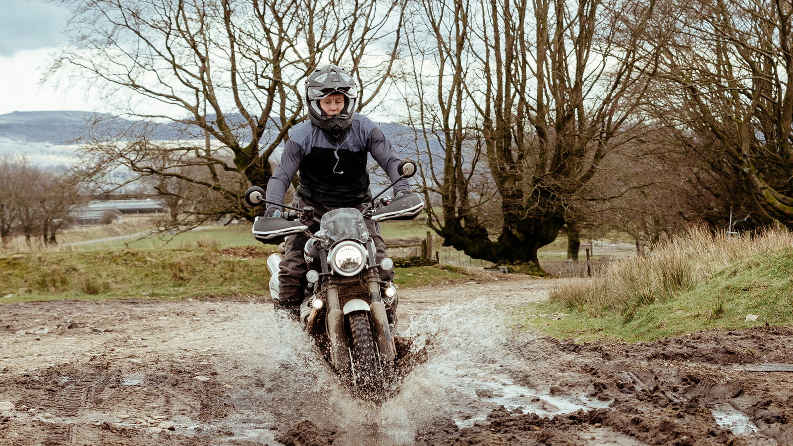 Triumph Scrambler 1200 XC becomes a cowherd 