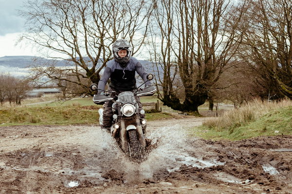 Triumph Scrambler 1200 XC becomes a cowherd 