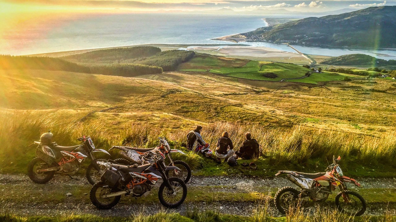 Ride the Wild