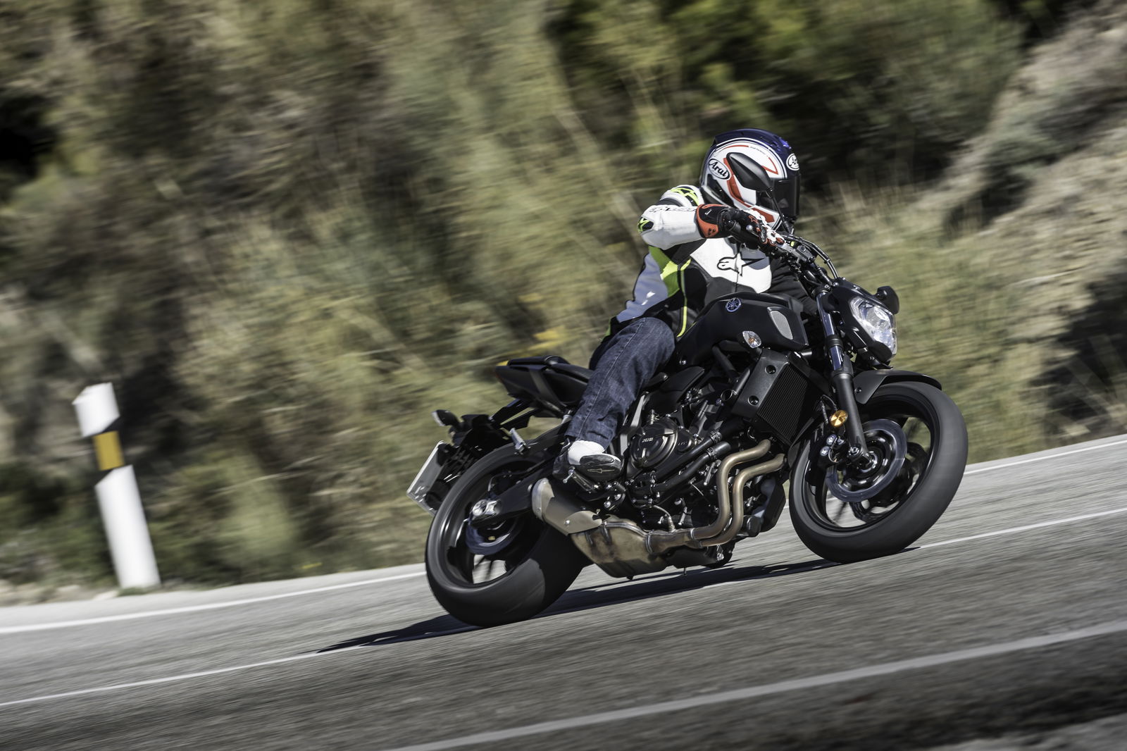 Triumph Tiger 800 video review