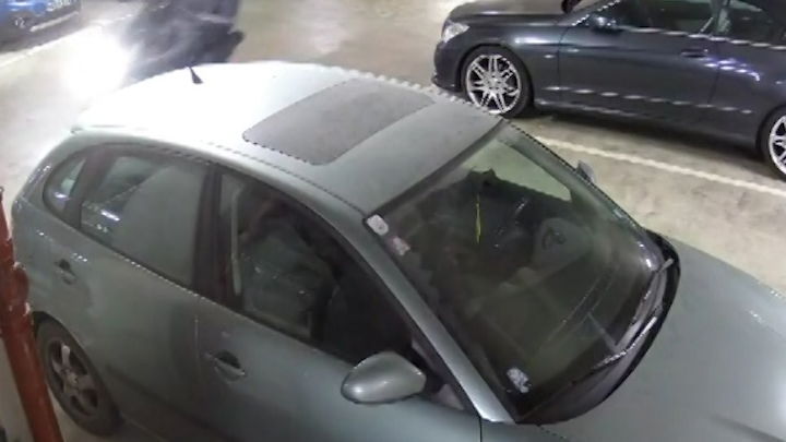 Harley-Davidson theft suspects