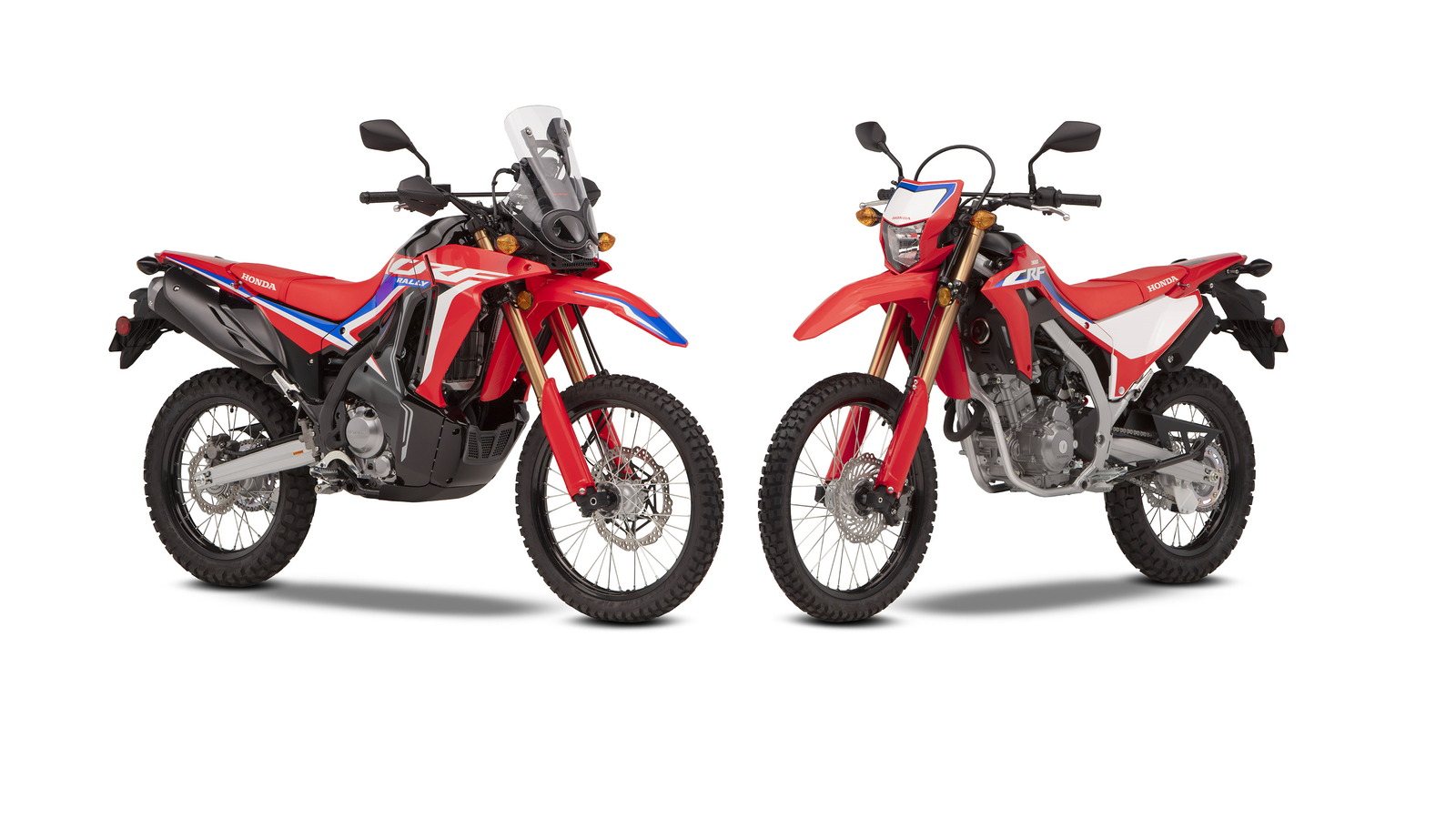 A new Honda CRF300L and CRF300 Rally are announced